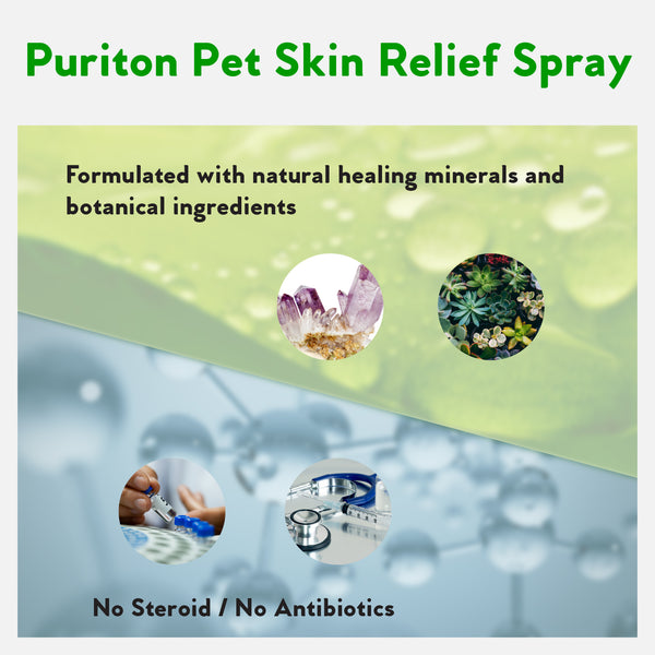 Puriton® Pet Skin Relief